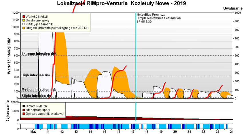 Kozietuły Nowe k. Mogielnicy - model chorobowy RIMpro 