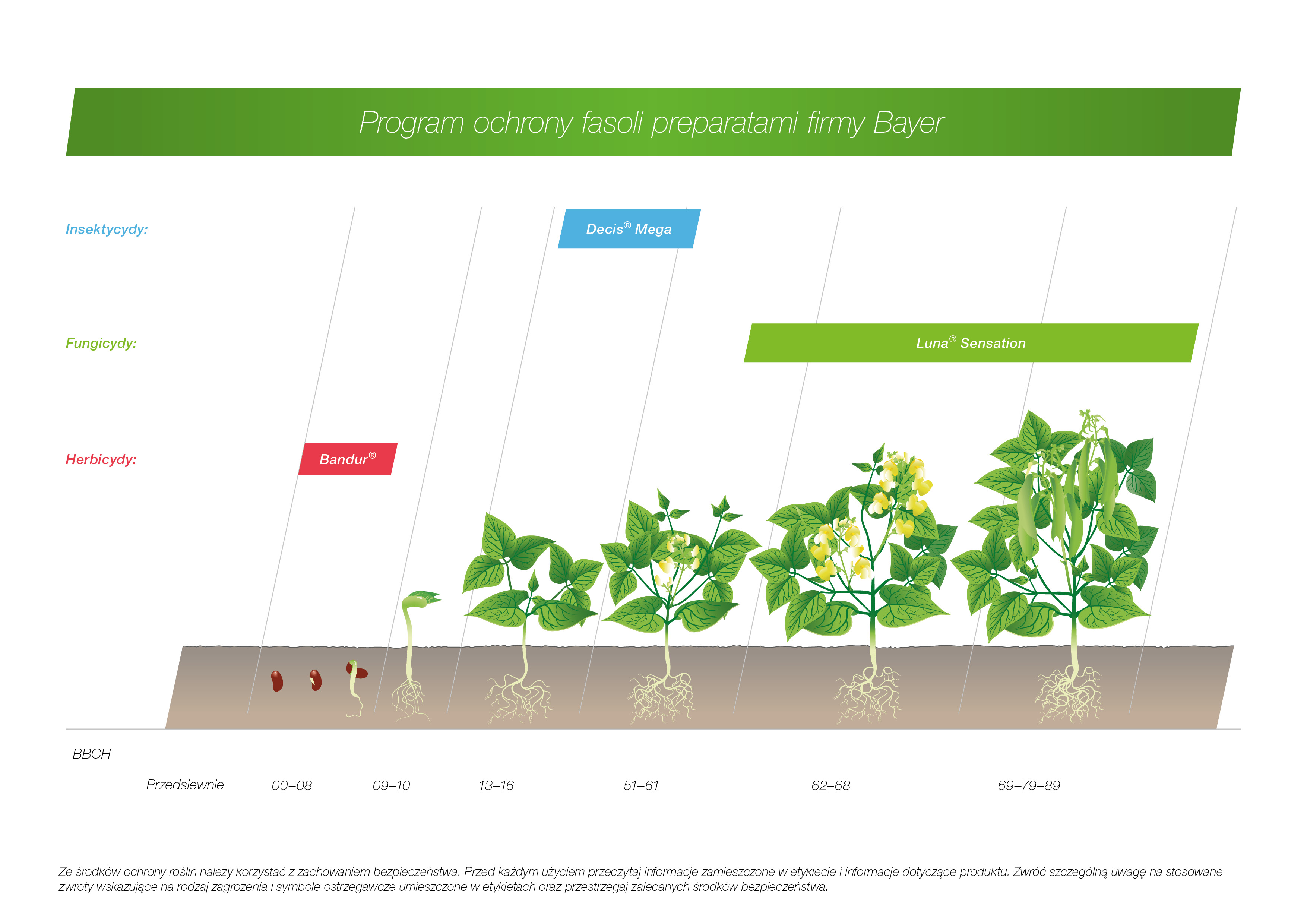 Program ochrony fasoli preparatami firmy Bayer