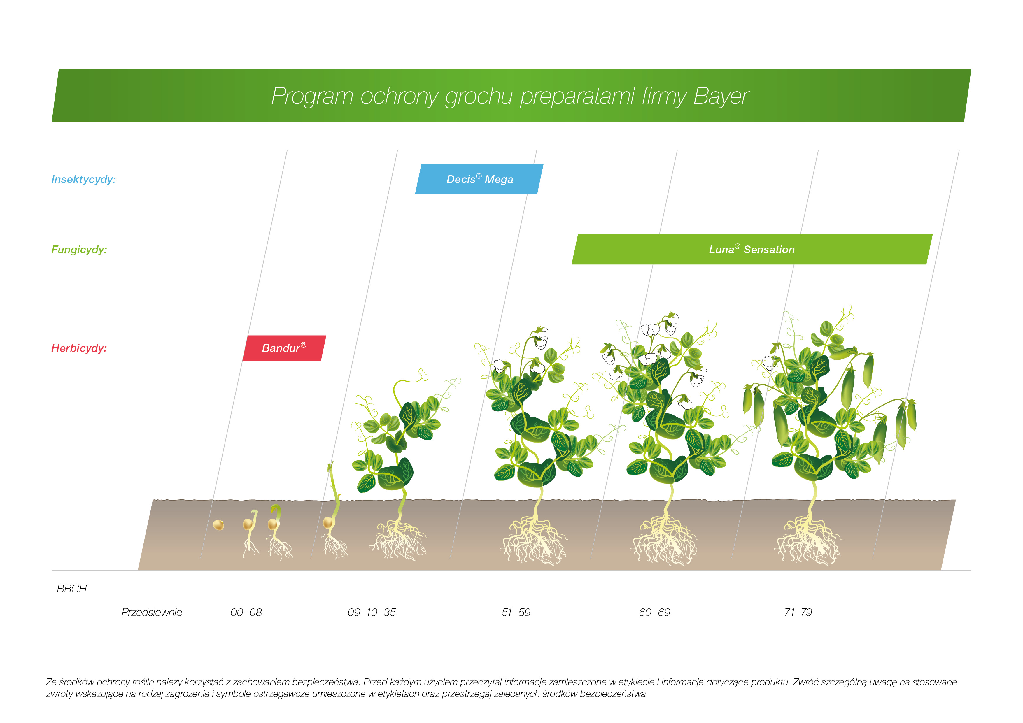 Program ochrony grochu preparatami firmy Bayer