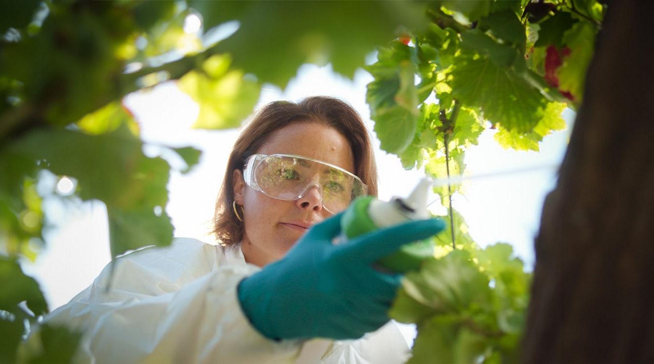 Witamy w sektorze biologicznym Bayer, na czele zrównoważonego rolnictwa!