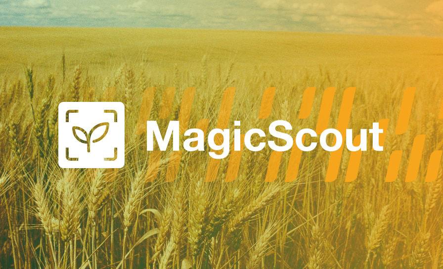 MagicScout