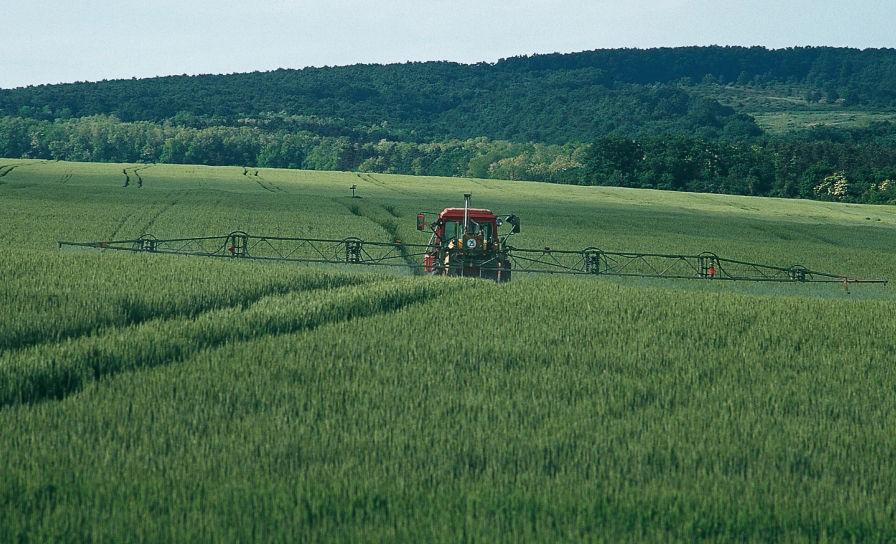 Strategia wiosennej ochrony herbicydowej w zbożach ozimych