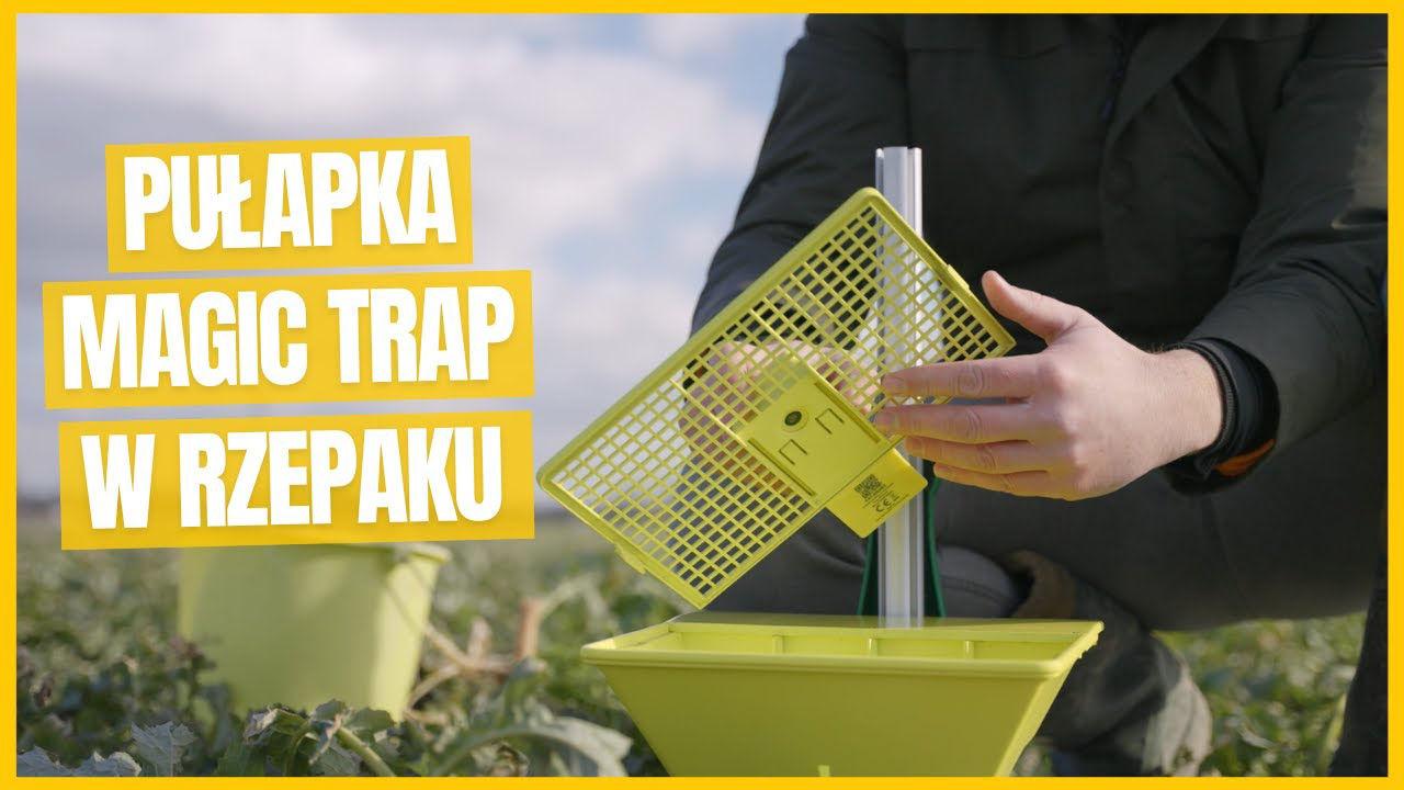 Pułapka MagicTrap w Rzepaku