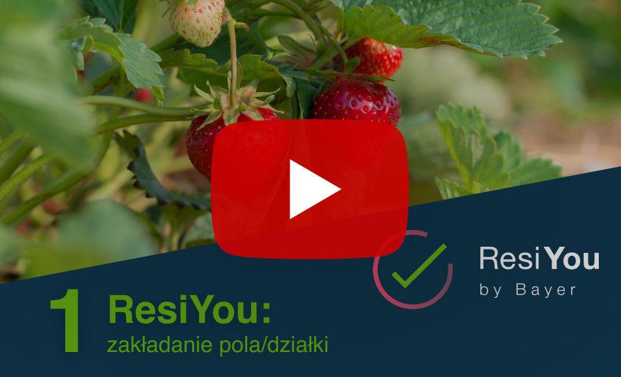 1. ResiYou: zakładanie pola/działki