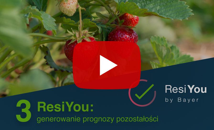 3. ResiYou: generowanie prognozy pozostałości